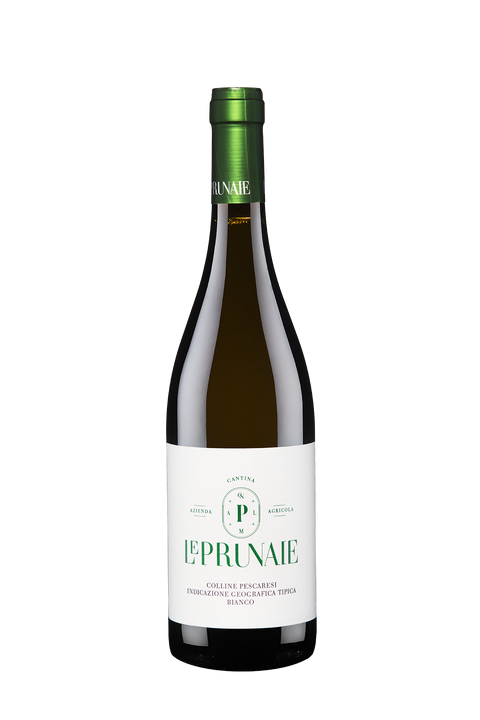 Bianco IGT Colline Pescaresi 2021