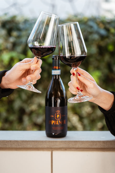 Montepulciano d’Abruzzo DOC 2021