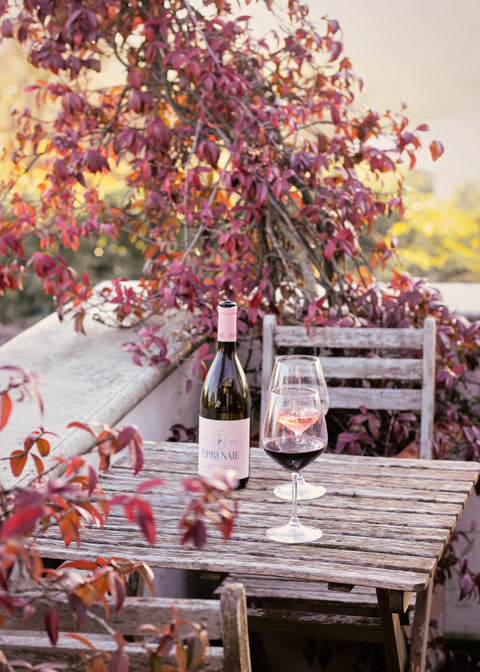 Rosato IGT Colline Pescaresi 2023